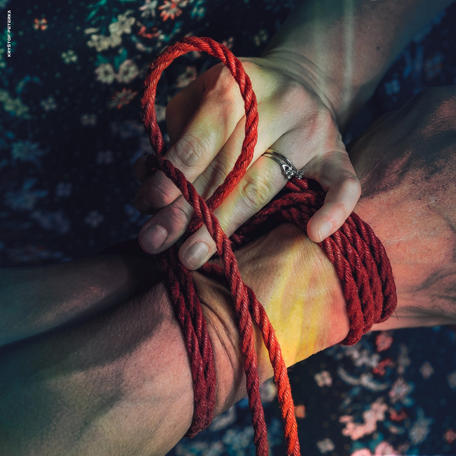 75552907_2383146185335887_4982043230204854272_o Shibari supersize